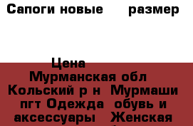 Сапоги новые. 37 размер. › Цена ­ 2 500 - Мурманская обл., Кольский р-н, Мурмаши пгт Одежда, обувь и аксессуары » Женская одежда и обувь   . Мурманская обл.